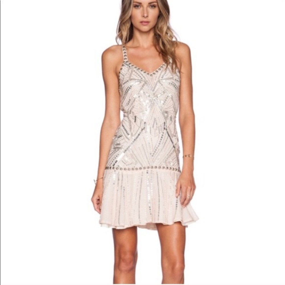 NWT Parker Devan’s Dress in blush - Picture 3 of 11